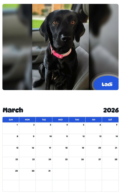 November 2025 - October 2026 Ladi - Pawidols Pet Calendar
