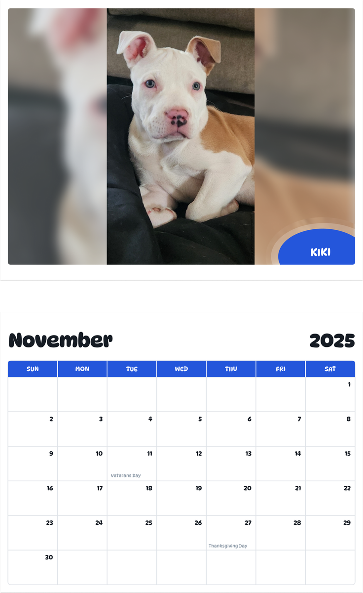 July 2025 - June 2026 Kiki - Pawidols Pet Calendar