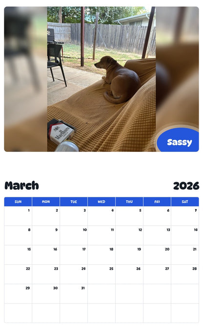 November 2025 - October 2026 Sassy - Pawidols Pet Calendar
