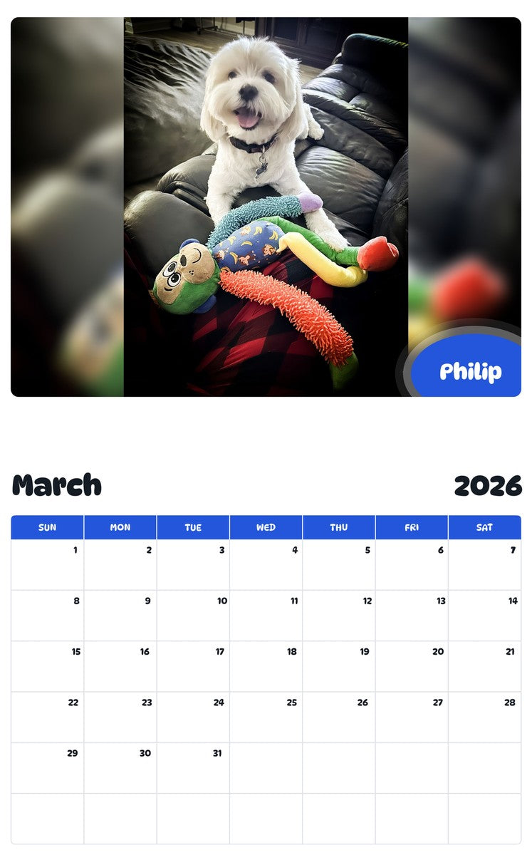 November 2025 - October 2026 Philip - Pawidols Pet Calendar
