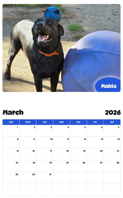 November 2025 - October 2026 Mable - Pawidols Pet Calendar