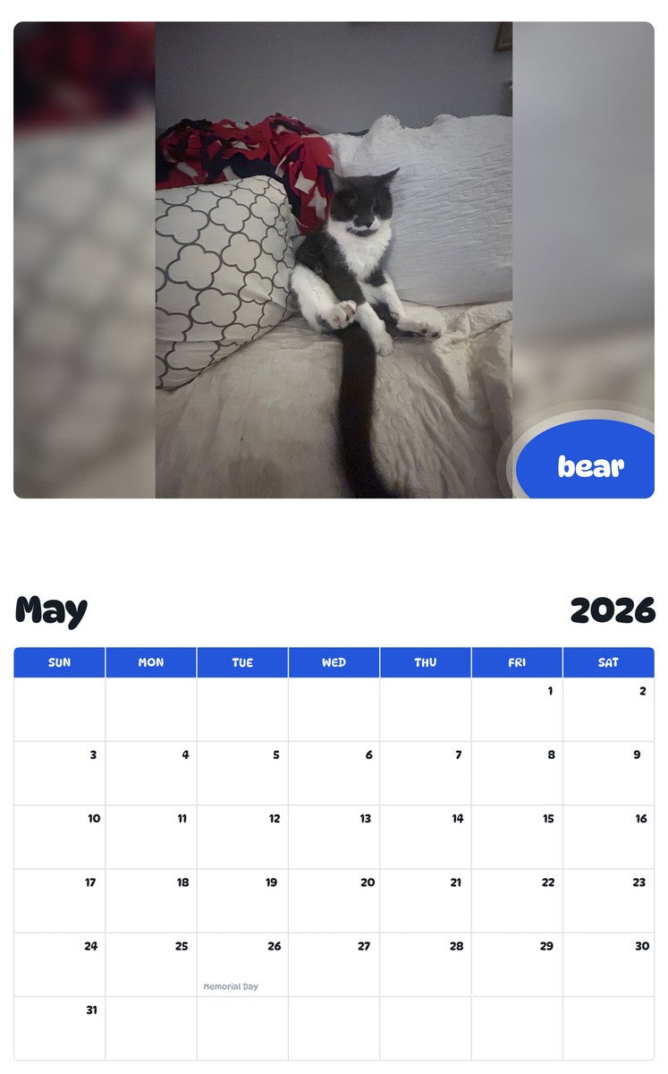 2026 - 2027 bear - Pawidols Pet Calendar