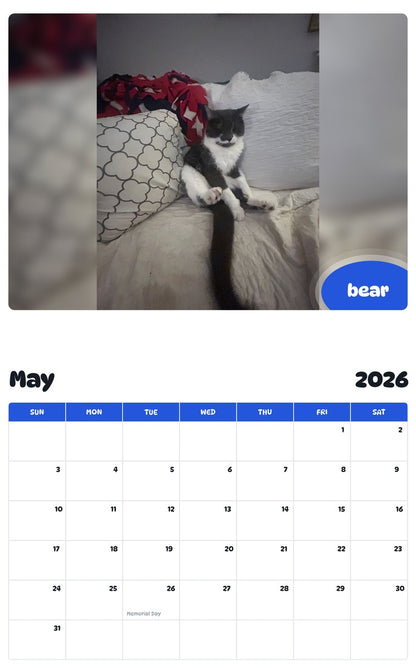2026 - 2027 bear - Pawidols Pet Calendar