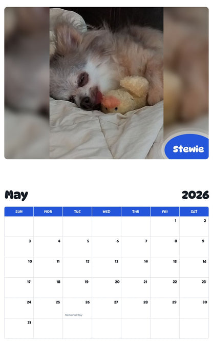 2026 - 2027 Stewie - Pawidols Pet Calendar