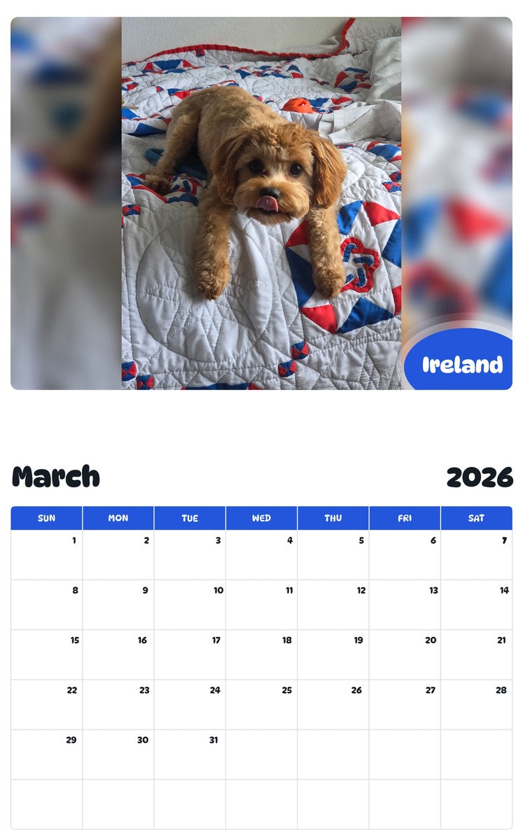 November 2025 - October 2026 Ireland - Pawidols Pet Calendar