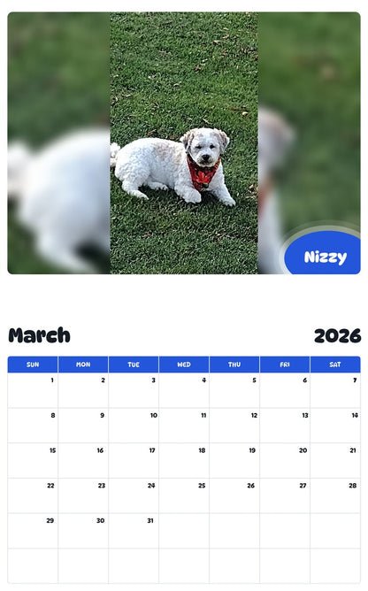 November 2025 - October 2026 Nizzy - Pawidols Pet Calendar
