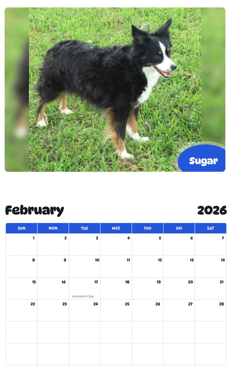 November 2025 - October 2026 Sugar - Pawidols Pet Calendar