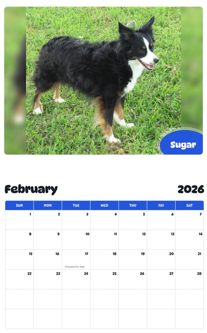 November 2025 - October 2026 Sugar - Pawidols Pet Calendar