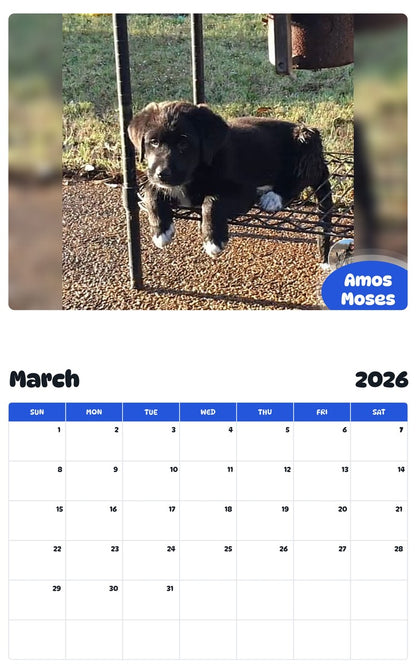 November 2025 - October 2026 Amos Moses - Pawidols Pet Calendar