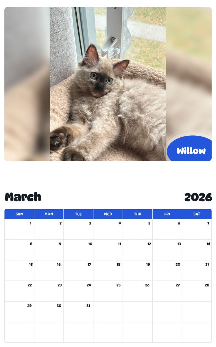 November 2025 - October 2026 Willow - Pawidols Pet Calendar