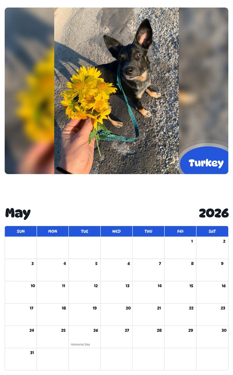 2026 - 2027 Turkey - Pawidols Pet Calendar