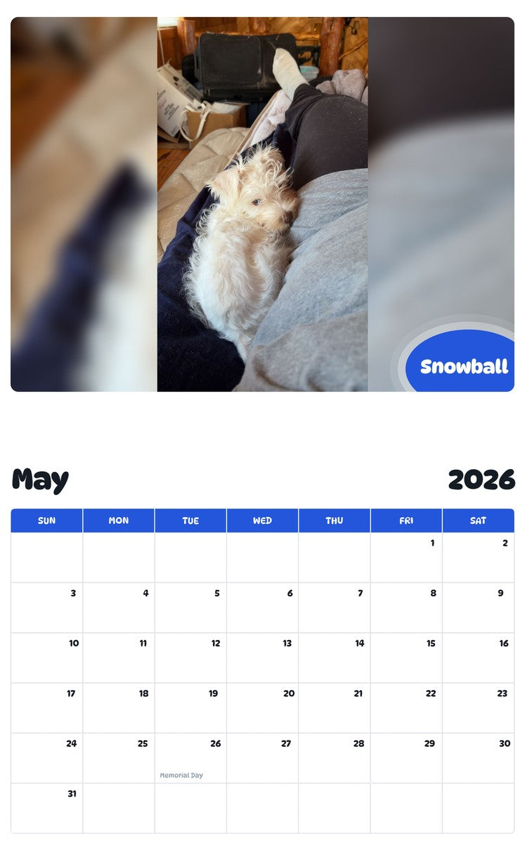2026 - 2027 Snowball - Pawidols Pet Calendar