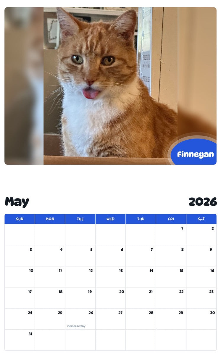 2026 - 2027 Finnegan - Pawidols Pet Calendar