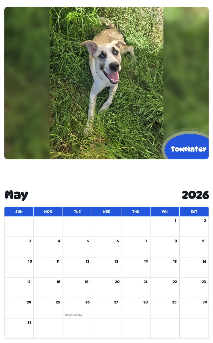 2026 - 2027 TowMater - Pawidols Pet Calendar