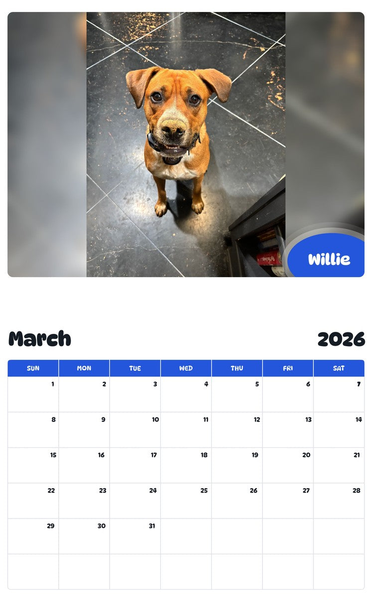 November 2025 - October 2026 Willie - Pawidols Pet Calendar