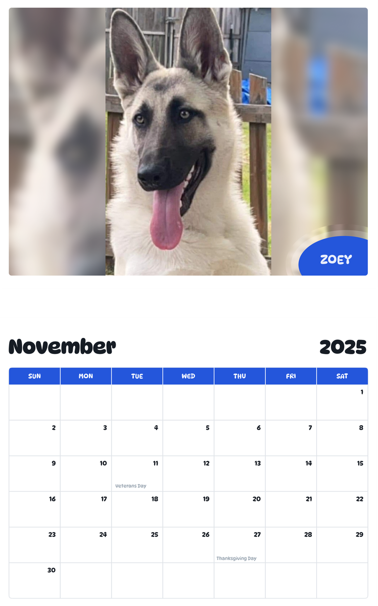 July 2025 - June 2026 Zoey - Pawidols Pet Calendar