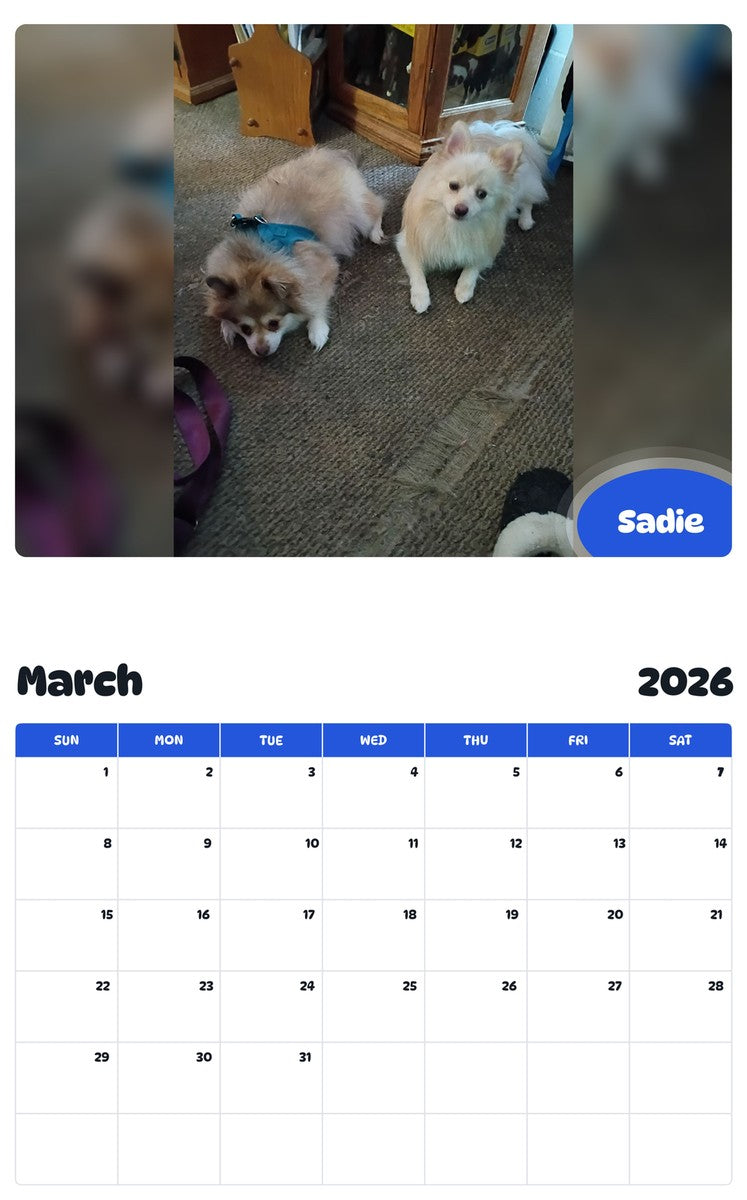 November 2025 - October 2026 Sadie - Pawidols Pet Calendar