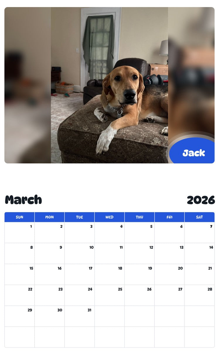 November 2025 - October 2026 Jack - Pawidols Pet Calendar