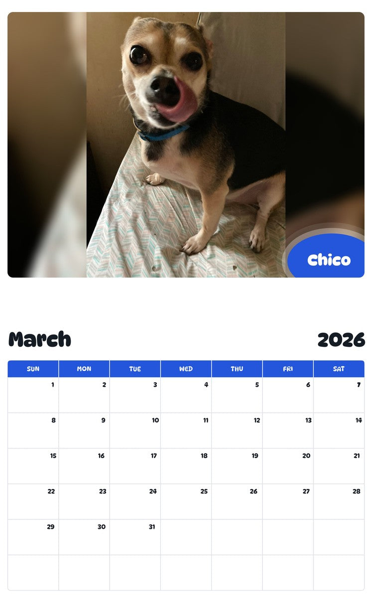 November 2025 - October 2026 Chico - Pawidols Pet Calendar