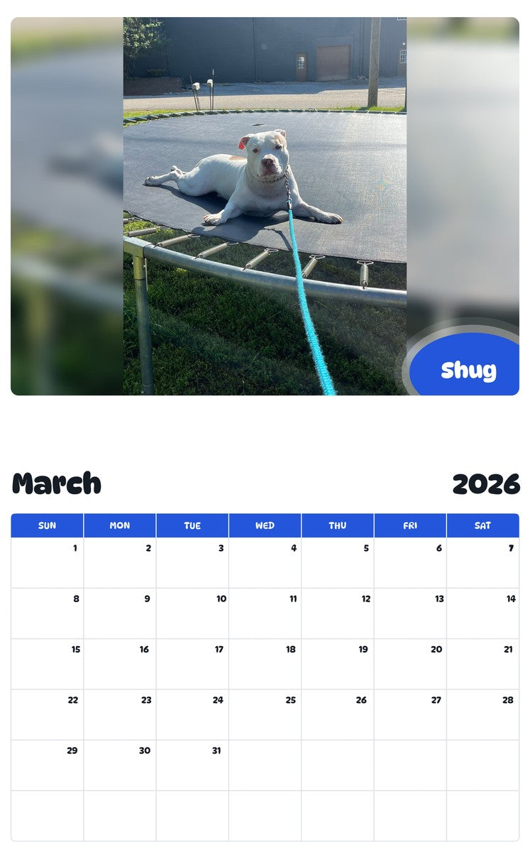 November 2025 - October 2026 Shug - Pawidols Pet Calendar