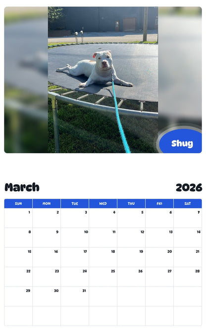 November 2025 - October 2026 Shug - Pawidols Pet Calendar