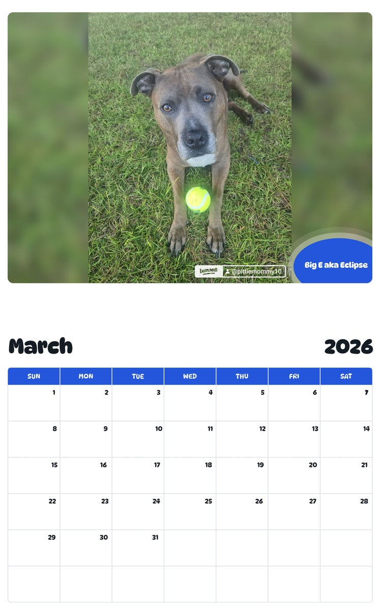 November 2025 - October 2026 Big E aka Eclipse - Pawidols Pet Calendar