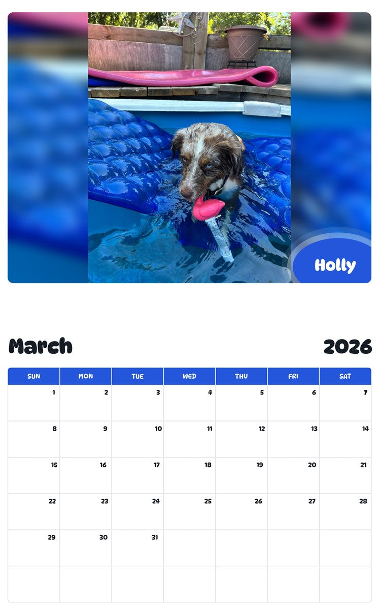 November 2025 - October 2026 Holly - Pawidols Pet Calendar