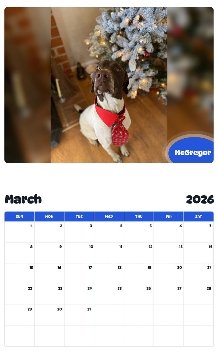 November 2025 - October 2026 McGregor - Pawidols Pet Calendar
