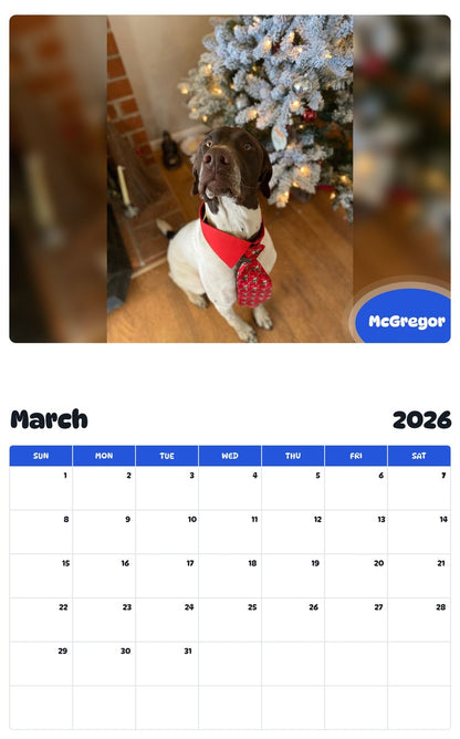 November 2025 - October 2026 McGregor - Pawidols Pet Calendar