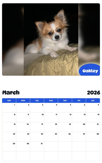 November 2025 - October 2026 Oakley - Pawidols Pet Calendar