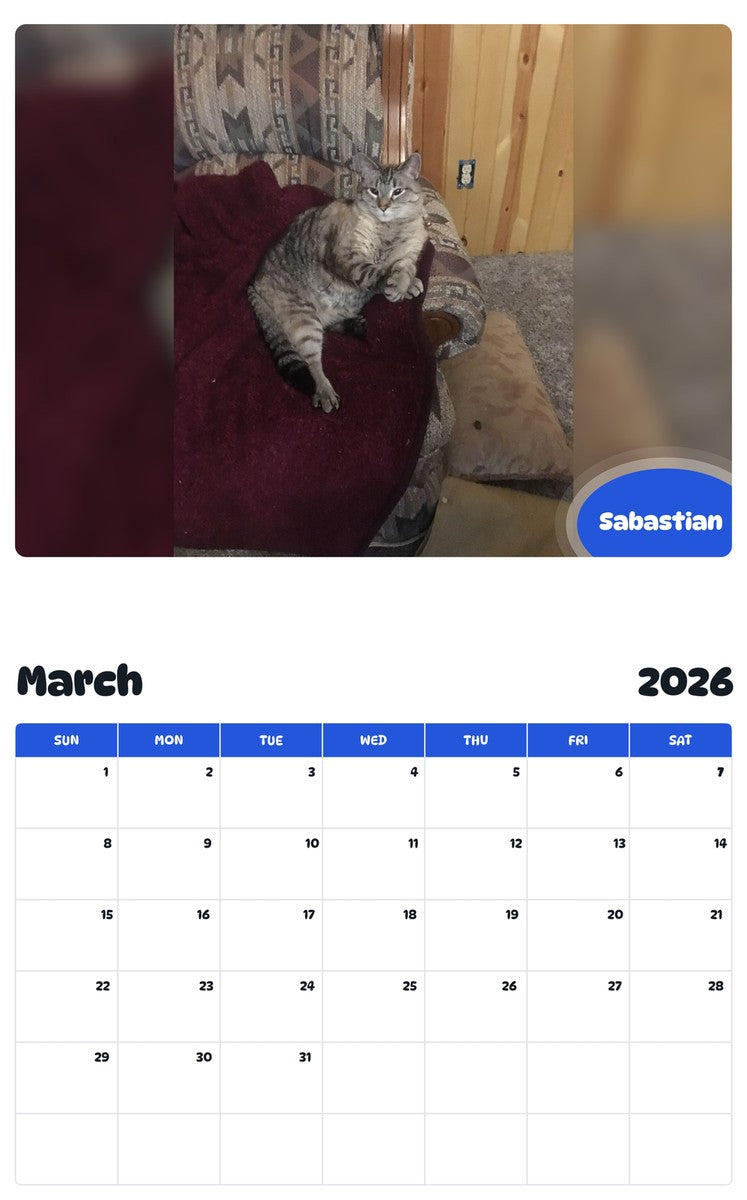 November 2025 - October 2026 Sabastian - Pawidols Pet Calendar