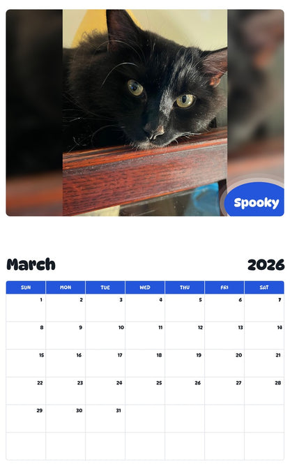 November 2025 - October 2026 Spooky - Pawidols Pet Calendar