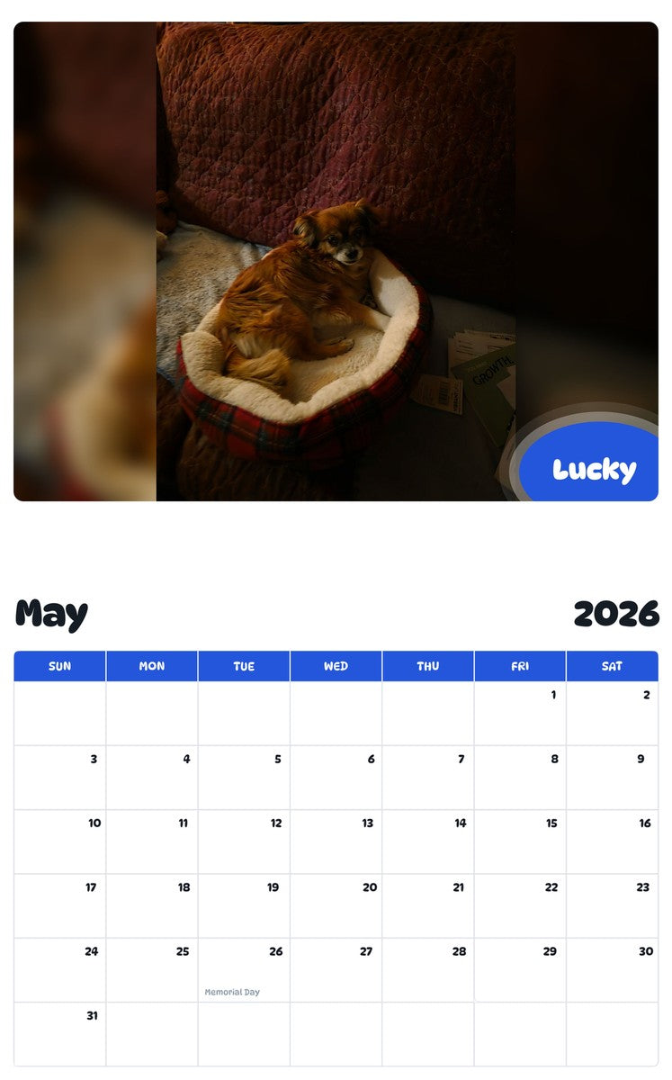 2026 - 2027 Lucky - Pawidols Pet Calendar