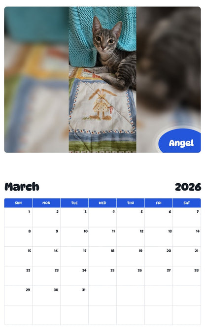 November 2025 - October 2026 Angel - Pawidols Pet Calendar