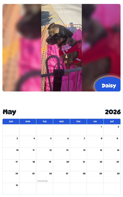 2026 - 2027 Daisy - Pawidols Pet Calendar