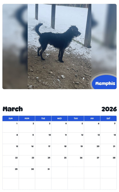 November 2025 - October 2026 Memphis - Pawidols Pet Calendar