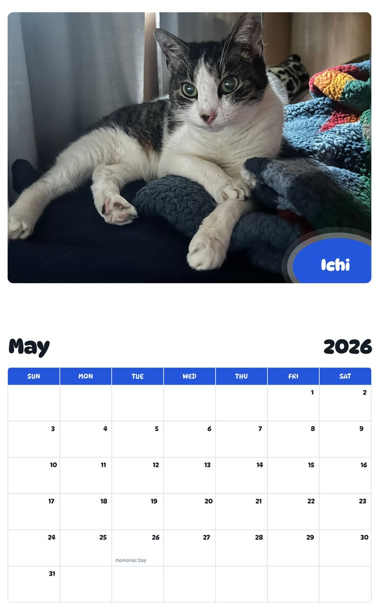 2026 - 2027 Ichi - Pawidols Pet Calendar