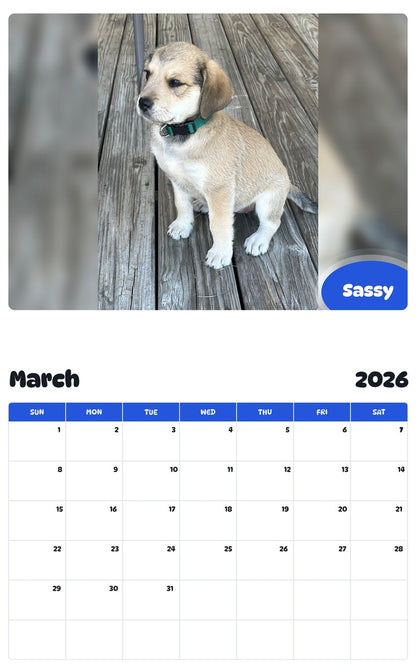 November 2025 - October 2026 Sassy - Pawidols Pet Calendar