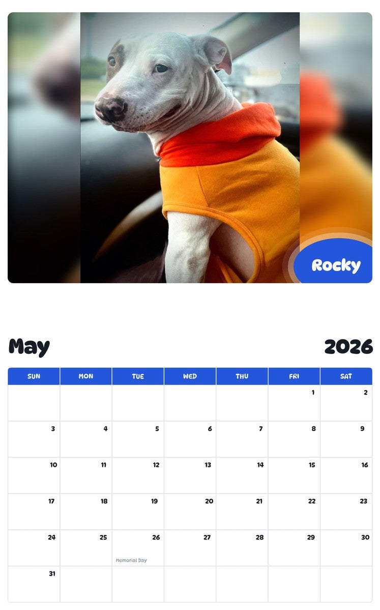 2026 - 2027 Rocky - Pawidols Pet Calendar