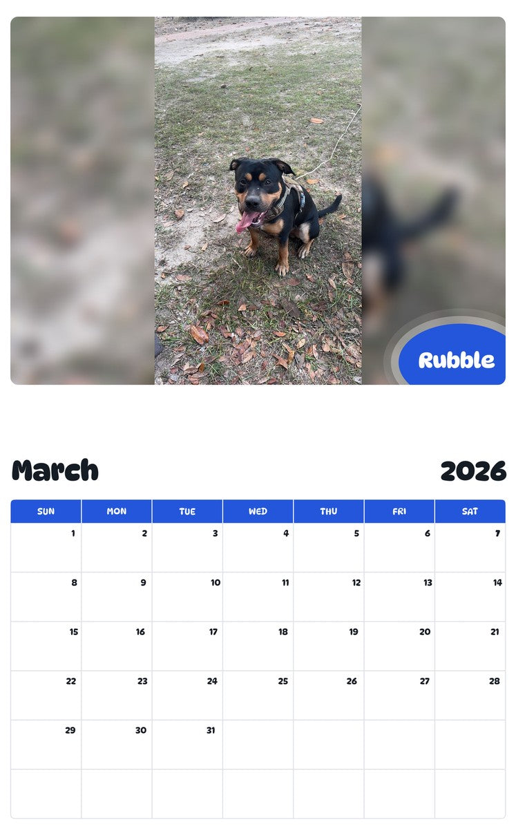 November 2025 - October 2026 Rubble - Pawidols Pet Calendar