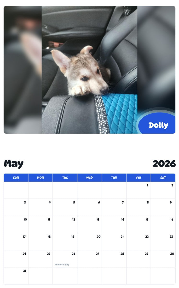 2026 - 2027 Dolly - Pawidols Pet Calendar
