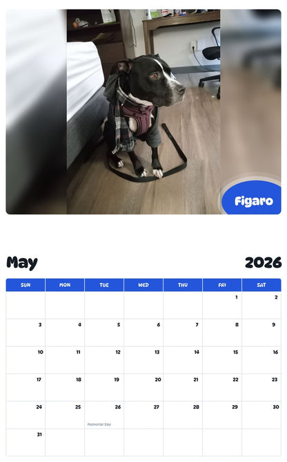 2026 - 2027 Figaro - Pawidols Pet Calendar