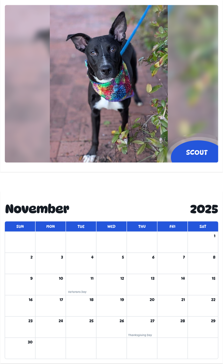July 2025 - June 2026 Scout - Pawidols Pet Calendar