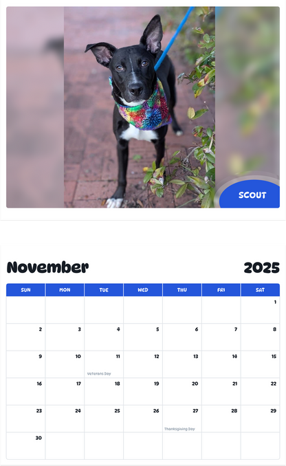 July 2025 - June 2026 Scout - Pawidols Pet Calendar
