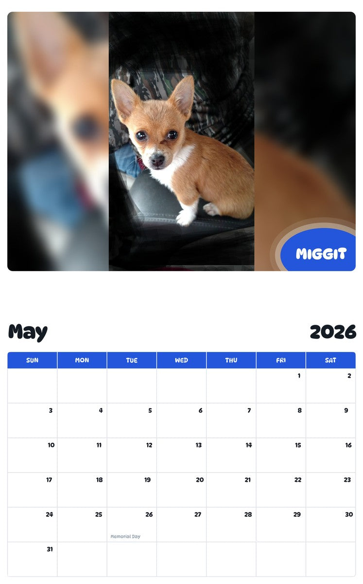 2026 - 2027 MIGGIT - Pawidols Pet Calendar