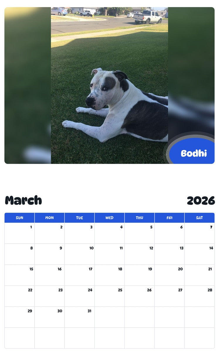 November 2025 - October 2026 Bodhi - Pawidols Pet Calendar