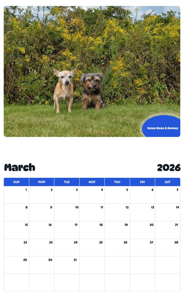 November 2025 - October 2026 Iszee Rose & Romey - Pawidols Pet Calendar