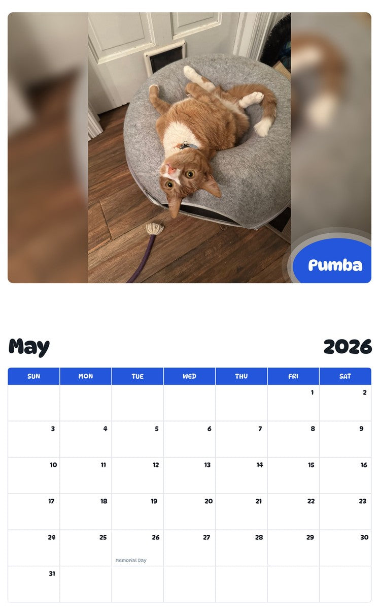 2026 - 2027 Pumba - Pawidols Pet Calendar