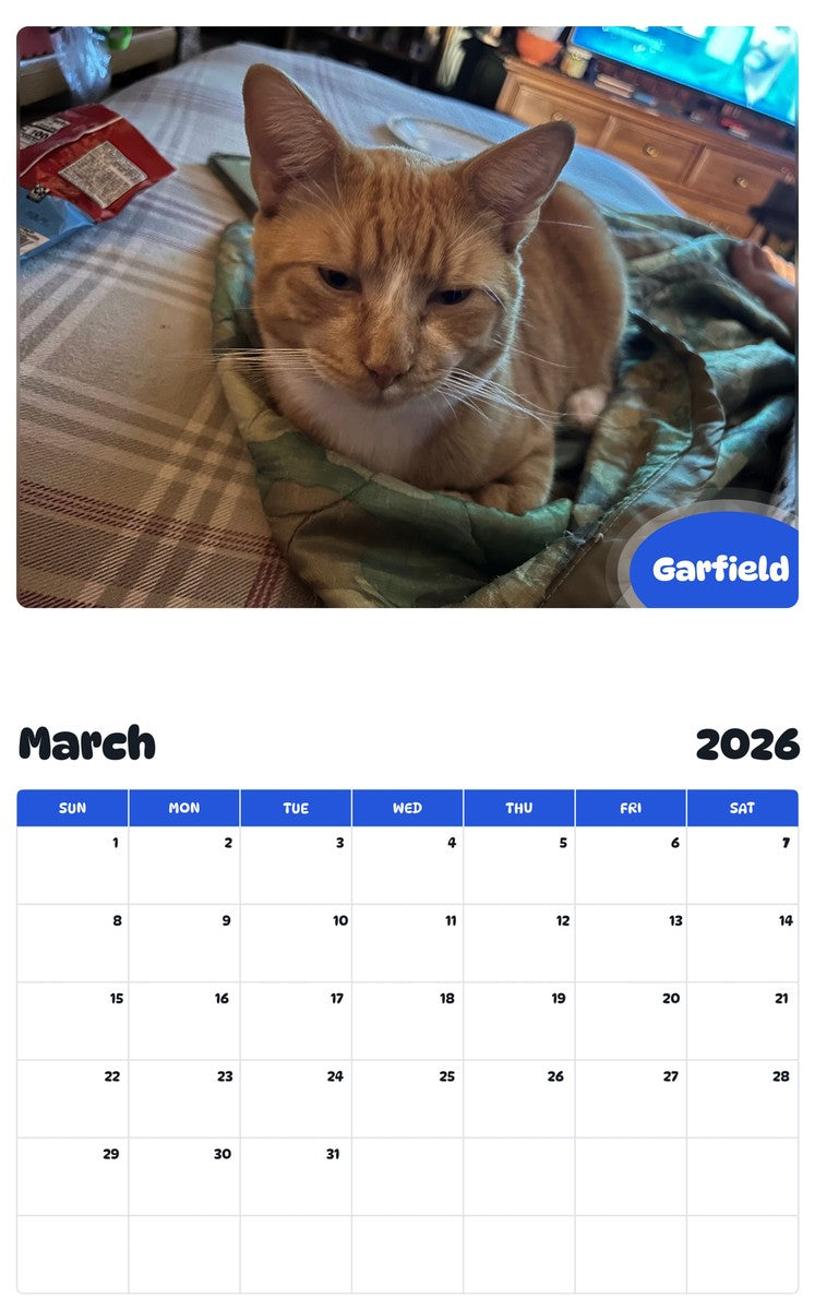 November 2025 - October 2026 Garfield - Pawidols Pet Calendar