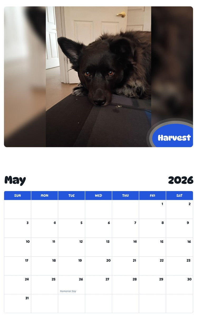 2026 - 2027 Harvest - Pawidols Pet Calendar